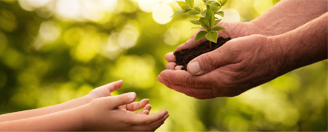 Noções em Educação Ambiental - CVT SOBRAL