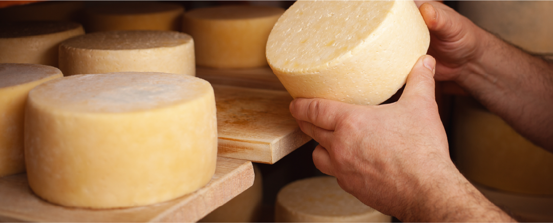 Queijos Artesanais - CVT TAUÁ